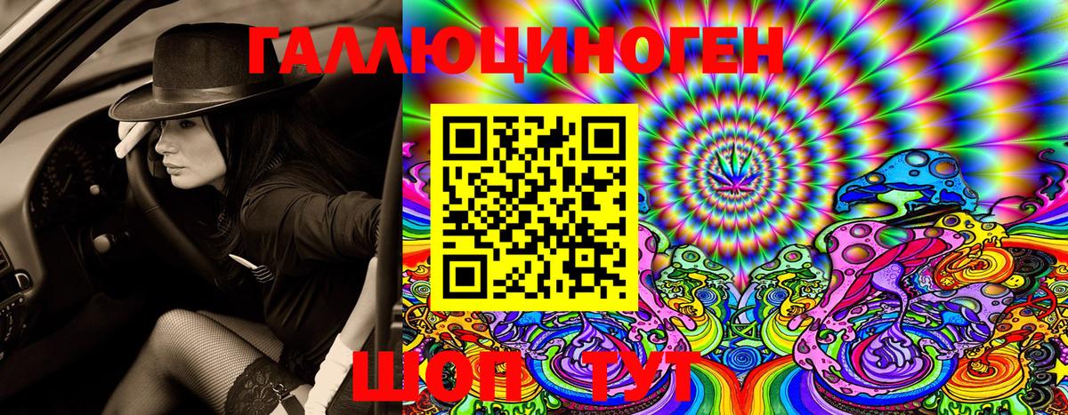 Галлюциногенные грибы прущие грибы  Вход с VPN  где продают   Галлюциногенные грибы прущие грибы  Светлоград 